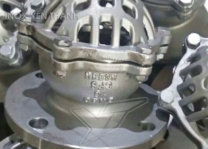 Rọ bơm mặt bích inox