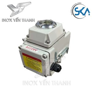 Bộ điện SKA