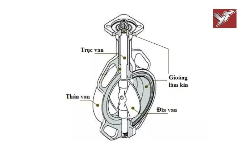 Van cánh bướm nhập khẩu